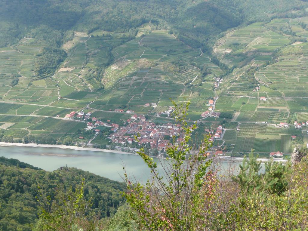 Weingut Langmayer Wösendorf エクステリア 写真