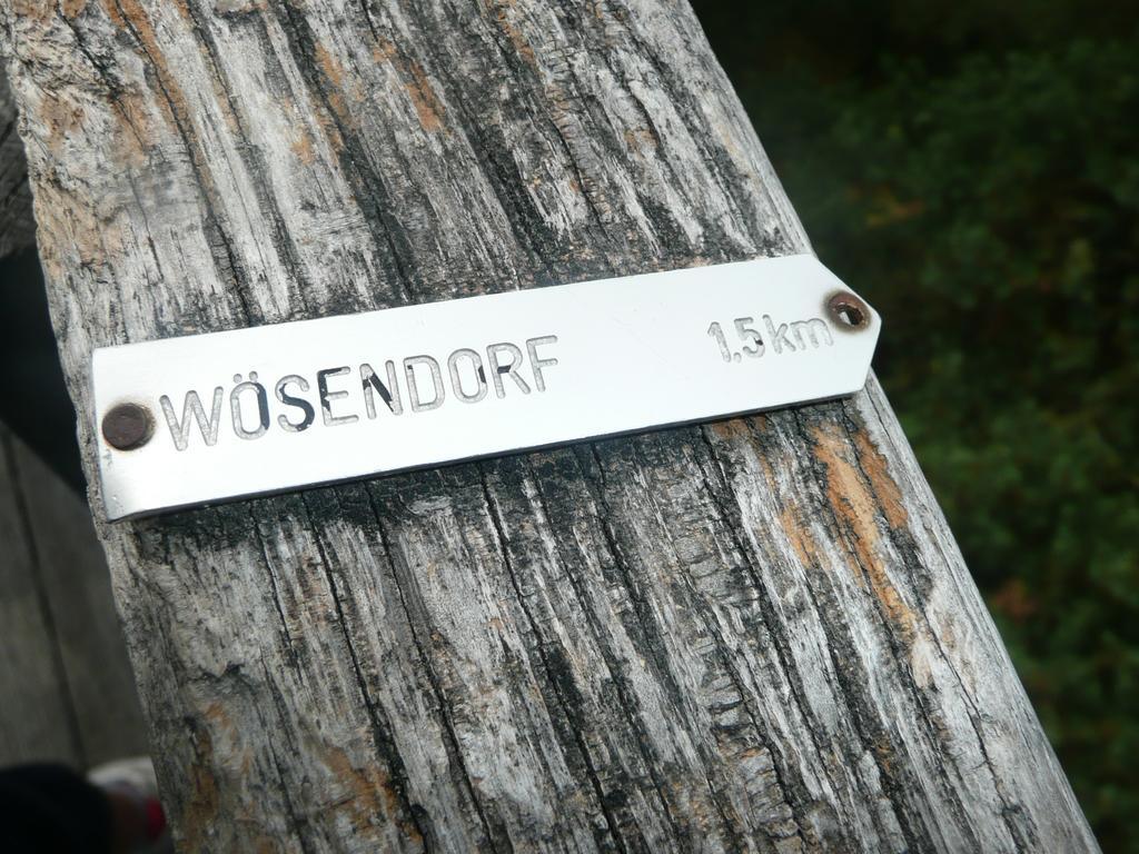 Weingut Langmayer Wösendorf エクステリア 写真