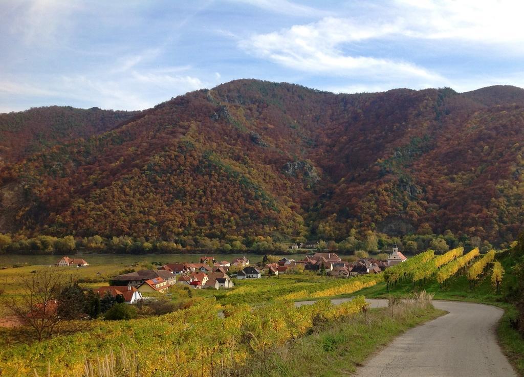 Weingut Langmayer Wösendorf エクステリア 写真