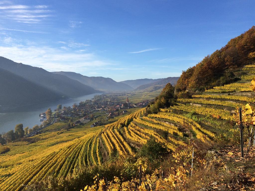 Weingut Langmayer Wösendorf エクステリア 写真