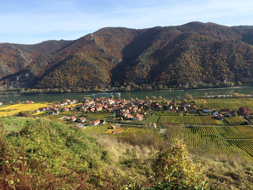 Weingut Langmayer Wösendorf エクステリア 写真